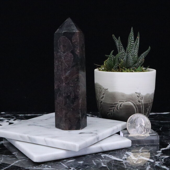 Garnet in Arfvedsonite (Fireworks Stone) Tower Point Generator - Medium (2-4")