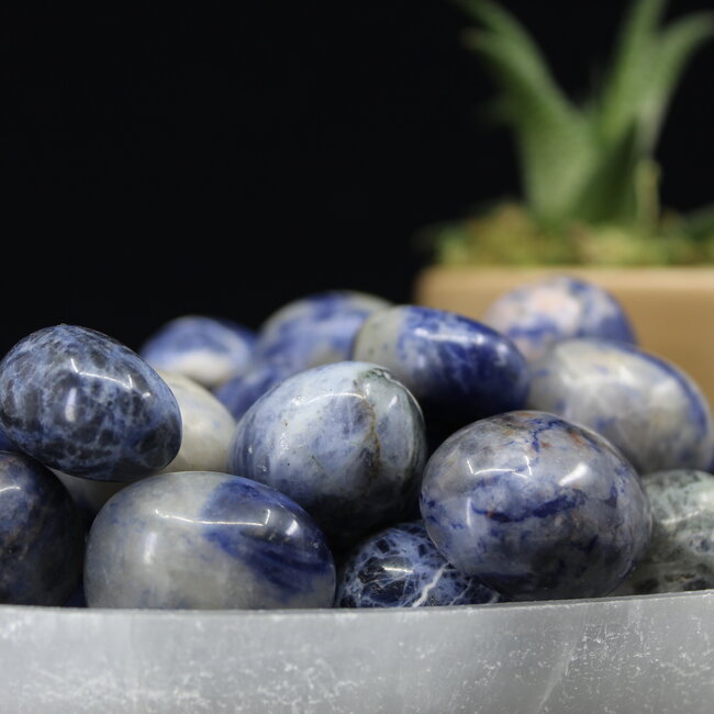 Sodalite - Tumbled Large