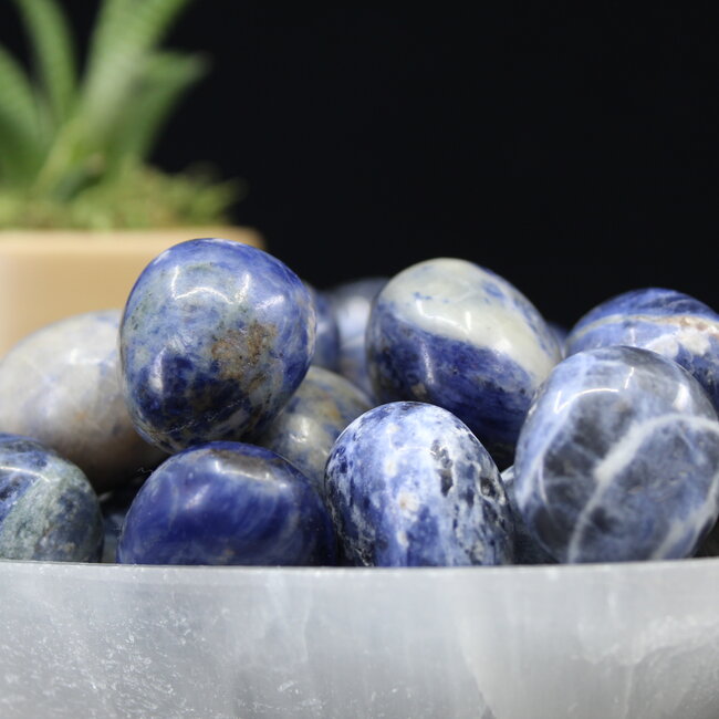 Sodalite - Tumbled Large