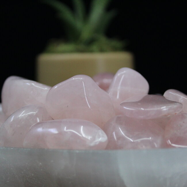 Rose Quartz - Tumbled XL
