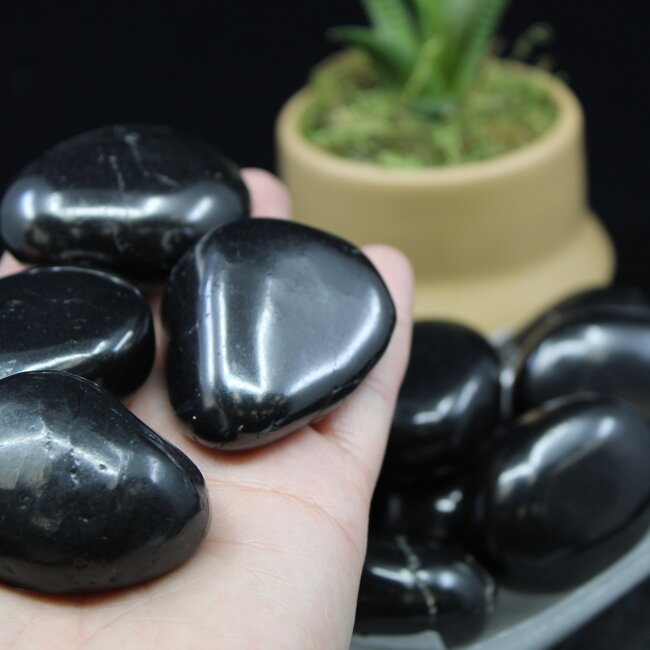 Shungite Tumbled  - XL Extra Large