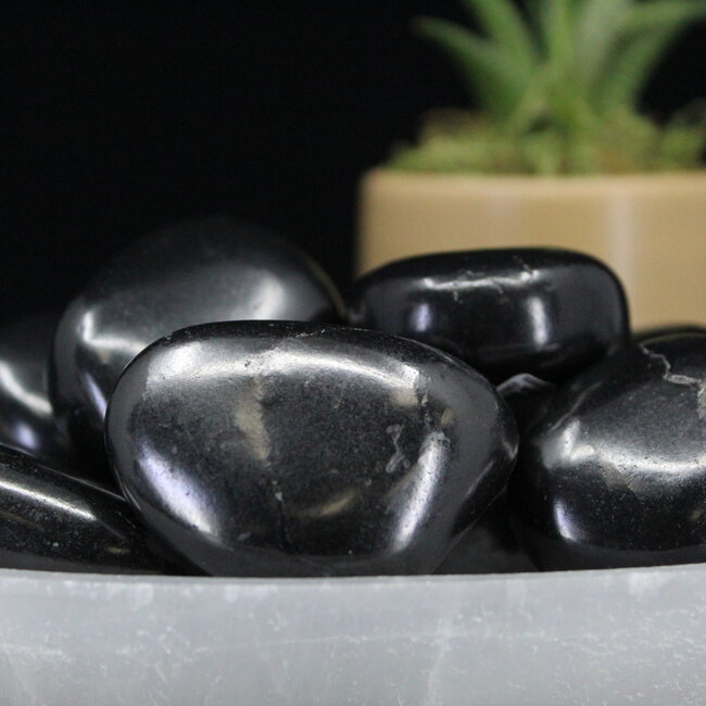 Shungite Tumbled  - XL Extra Large