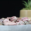Rhodonite (AAA Grade) - Tumbled