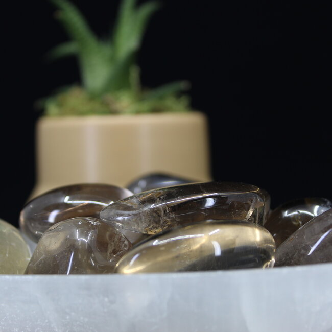 Smoky (Smokey) Quartz - Tumbled  XL Smooth