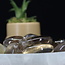 Smoky (Smokey) Quartz - Tumbled  XL Smooth