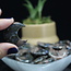 Que Sera (Blue Opal Llianite Galaxy Rhyolite Liberite Glaucophane) Crescent Moons - Medium
