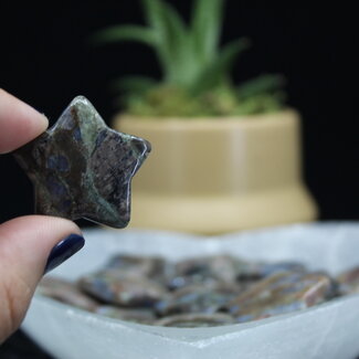 Que Sera (Blue Opal Llianite Galaxy Rhyolite Liberite Glaucophane) Stars - Medium