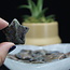 Que Sera (Blue Opal Llianite Galaxy Rhyolite Liberite Glaucophane) Stars - Medium