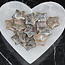 Que Sera (Blue Opal Llianite Galaxy Rhyolite Liberite Glaucophane) Stars - Medium
