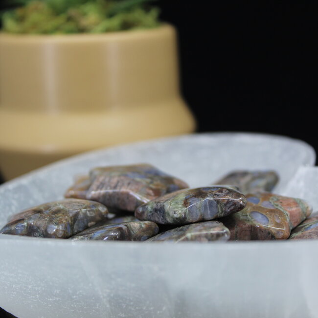 Que Sera (Blue Opal Llianite Galaxy Rhyolite Liberite Glaucophane) Stars - Medium