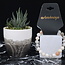 Multi Color Moonstone Bracelets - 8mm Peach Black White Cream