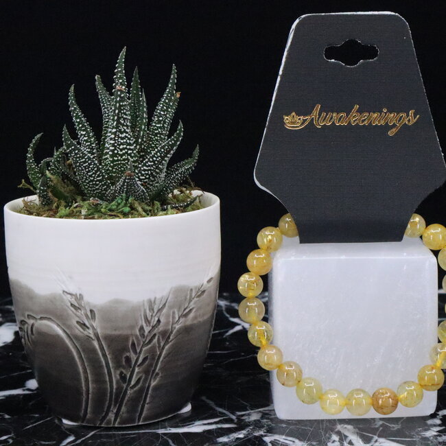 Gold (Golden Rutile Angel Venus Hair) Rutilated Quartz & Copper Quartz Bracelets - 6 - 8mm