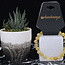 Gold (Golden Rutile Angel Venus Hair) Rutilated Quartz & Copper Quartz Bracelets - 6 - 8mm
