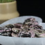 Rhodonite Crescent Moons - Medium
