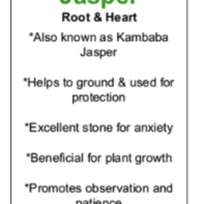 Crocodile (Kambaba) Jasper (Green Stromatolite) Stars - Medium