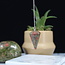 Unakite Jasper Pendulums - Dowsing Hexagonal Faceted Cone Point Divination - Silver Chain Crystal Gemstone