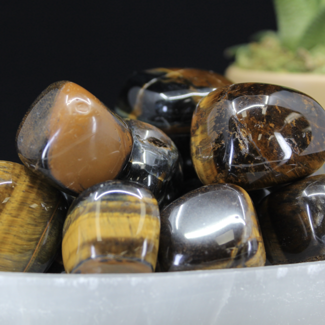 Blue Tigers Eye (Hawks Eye) Tumbled - XXL Jumbo