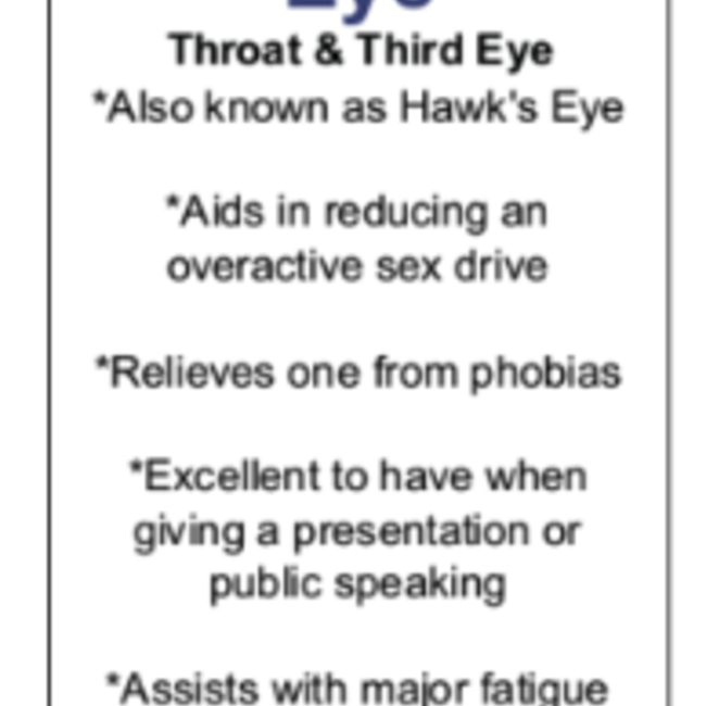 Blue Tigers Eye (Hawks Eye) Tumbled - XXL Jumbo