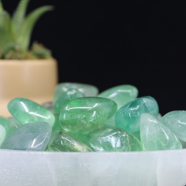Green Fluorite- Tumbled