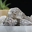 Smoky (Smokey) Quartz Rough Raw Natural - Large (0.5-1.5")