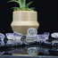 Purple Fluorite Small Rough Raw Natural
