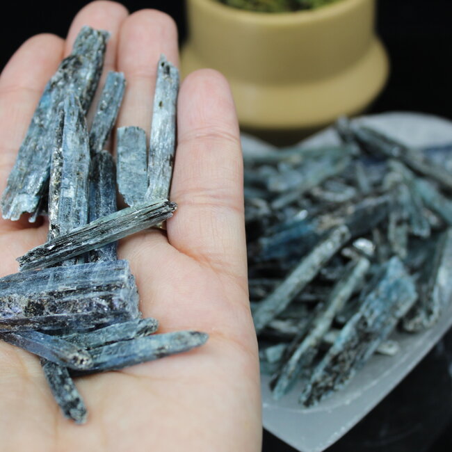 African Blue Kyanite - Rough Raw Natural