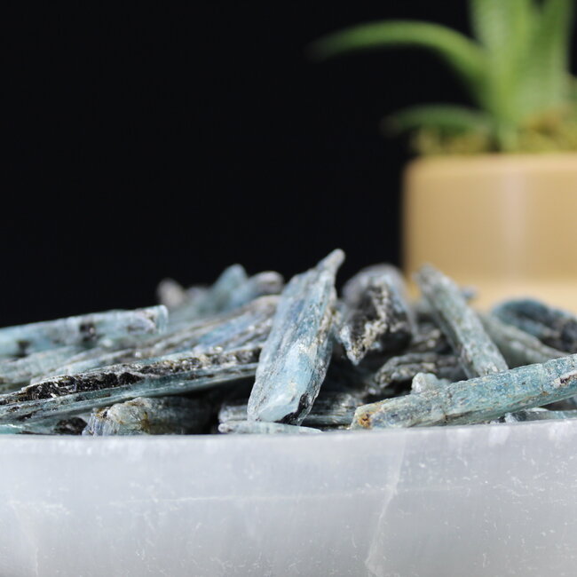 African Blue Kyanite - Rough Raw Natural
