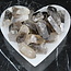 Smoky (Smokey) Quartz Points - Medium Rough Raw Natural