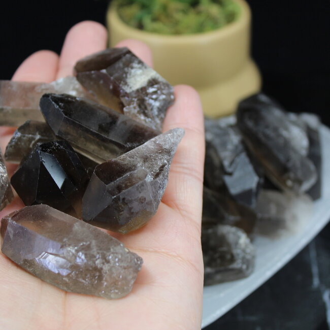 Smoky (Smokey) Quartz Points - Medium Rough Raw Natural
