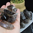 Smoky (Smokey) Quartz Points - Medium Rough Raw Natural