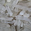 Clear (Crystal) Quartz Points - Mini Seeds - Rough Raw Natural Crystal Grids