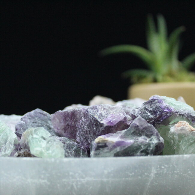 Rainbow Fluorite - Small Rough Raw Natural
