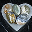 Ocean (Sea Sediment) Jasper Palm Pillow Stone XL - Gallett