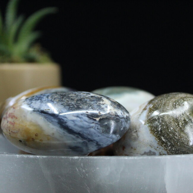 Ocean (Sea Sediment) Jasper Palm Pillow Stone XL - Gallett