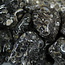 Turritella Agate - Large