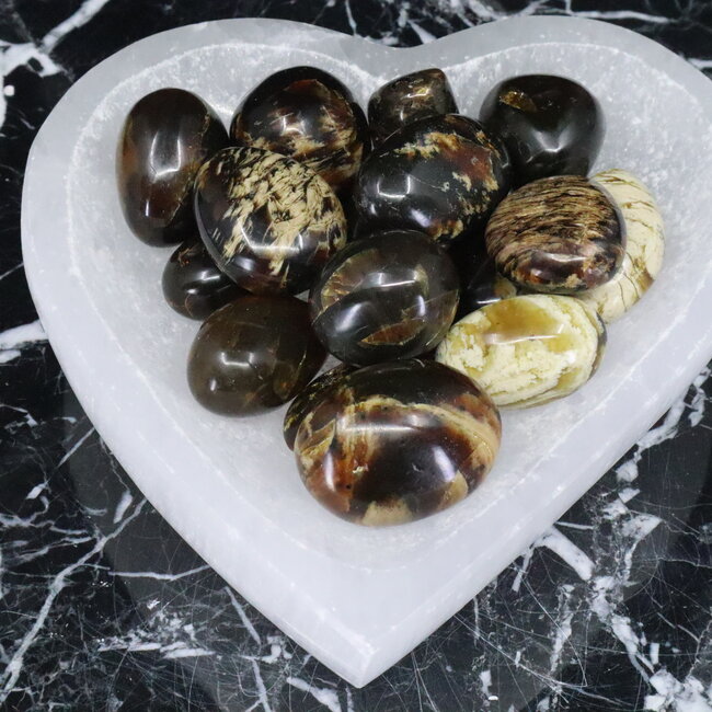 Blue Zebra Amber - Tumbled