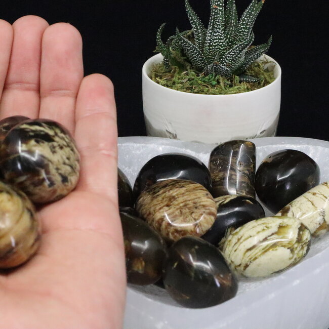 Blue Zebra Amber - Tumbled