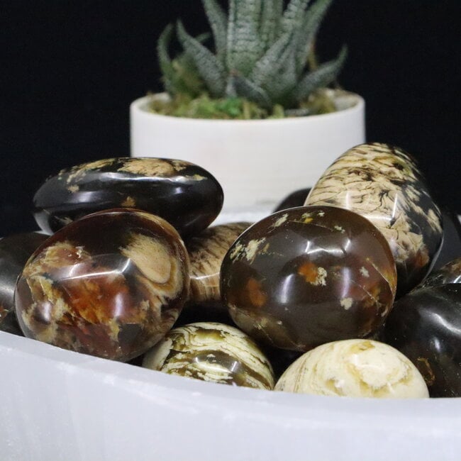 Blue Zebra Amber - Tumbled