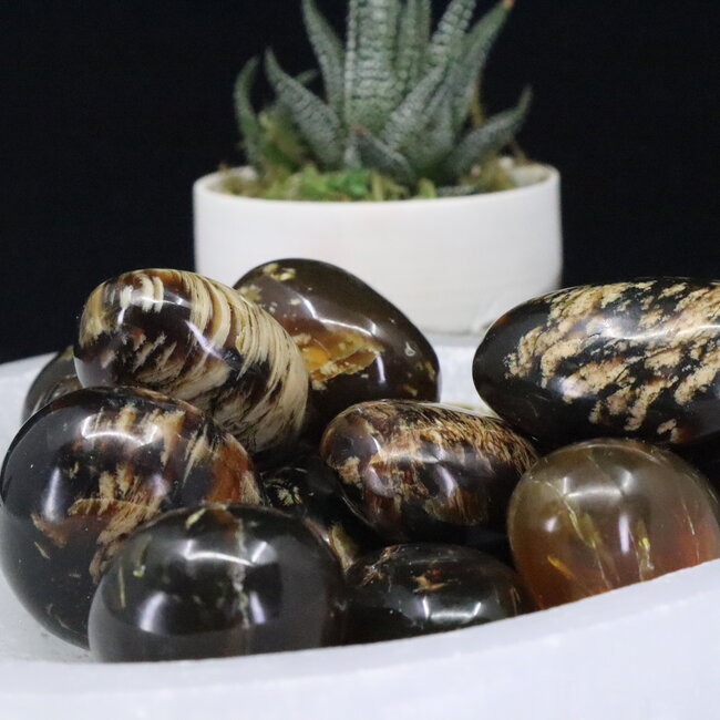 Blue Zebra Amber - Tumbled