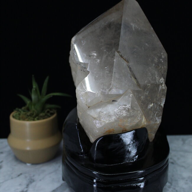 Smoky (Smokey) Quartz with Gold (Golden Rutile) Rutilated Quartz Specimen on Black Stand - Free Form Display