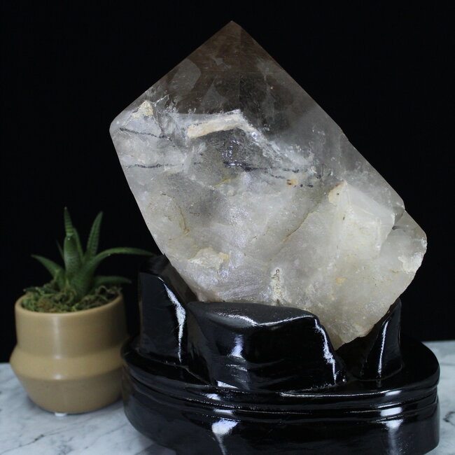 Smoky (Smokey) Quartz with Gold (Golden Rutile) Rutilated Quartz Specimen on Black Stand - Free Form Display