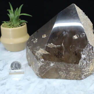 Smoky (Smokey) Quartz Point with Phantom Inclusions - Specimen Display