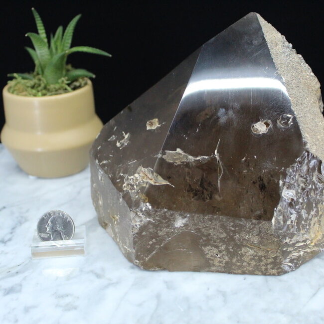 Smoky (Smokey) Quartz Point with Phantom Inclusions - Specimen Display