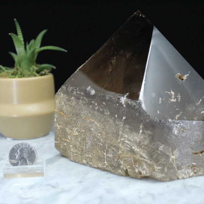 Smoky (Smokey) Quartz Point with Phantom Inclusions - Specimen Display