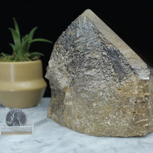 Smoky (Smokey) Quartz Point with Phantom Inclusions - Specimen Display