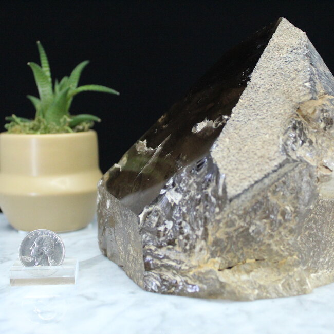 Smoky (Smokey) Quartz Point with Phantom Inclusions - Specimen Display