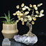 Citrine Bonsai Tree on Amethyst - 5-6" Large