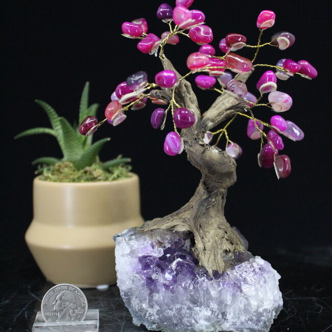 Pink Agate (Dyed) Bonsai Tree on Amethyst - 5-6" Large
