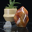 Carnelian Flame Twist - Small (3")