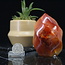 Carnelian Flame Twist - Small (3")